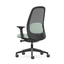Interstuhl HEJ HJ216 ergonomische bureaustoel zwart frame aanzicht van achteren