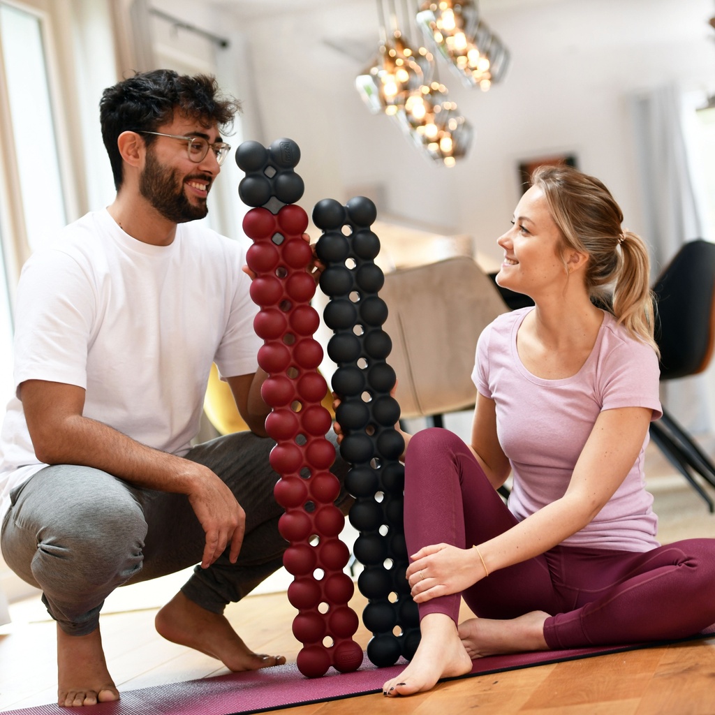 SPINEFITTER® by SISSEL® Mini – compacte rug- en mobiliteitstrainer