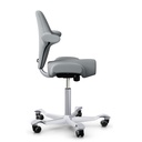 HAG Capisco 8106 Lichtgrijs Promo EXR094 Slip 