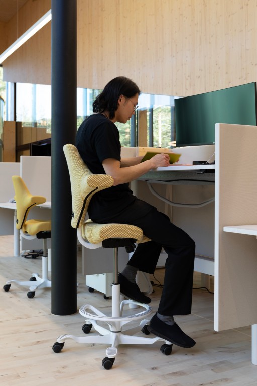 HAG Capisco 8106 Roze Promo