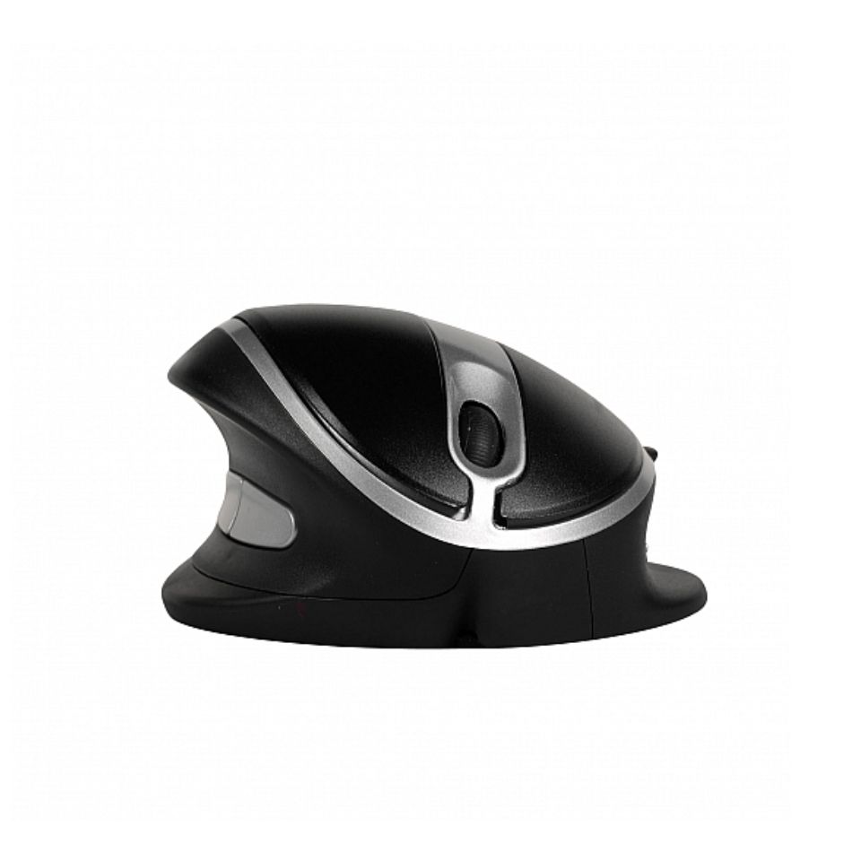 Oyster Mouse