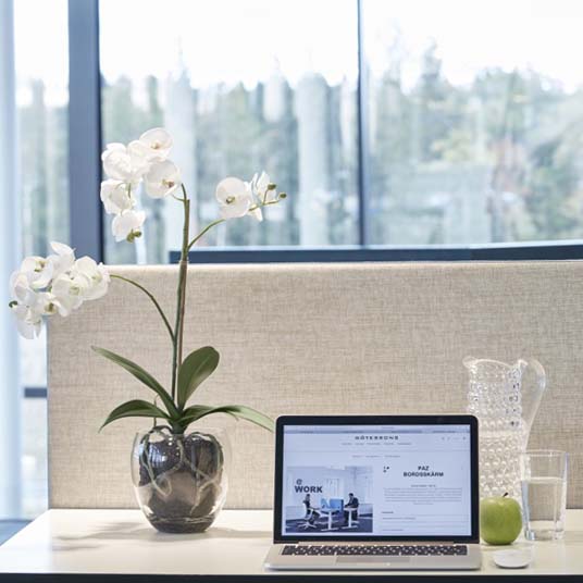 Götessons Orchidee Phalaenopsis inkl. Topf H.650