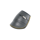 FastForward verticale muis