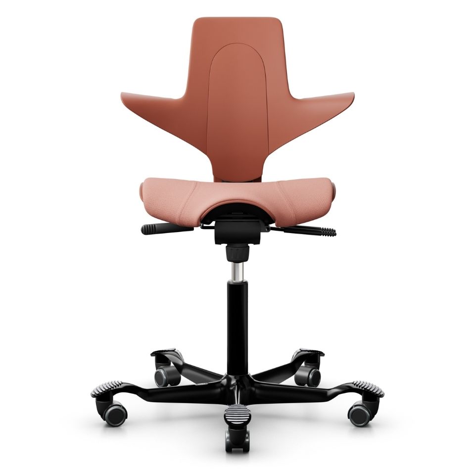 HAG Capisco Puls 8020 Special Rosehip