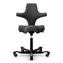 HAG Capisco 8106 Anthrazit Select