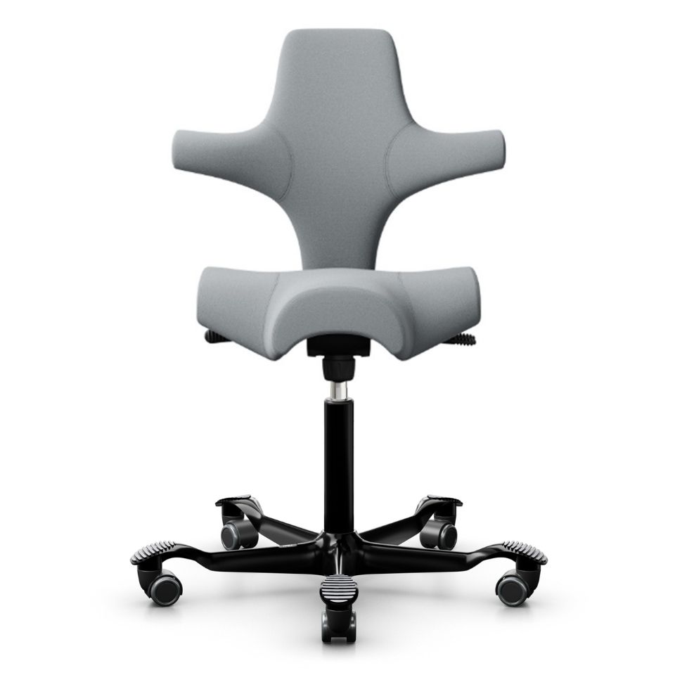 HAG Capisco 8106 Hellgrau Xtreme 