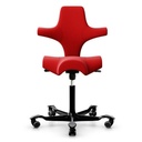 HAG Capisco 8106 Rot Xtreme 