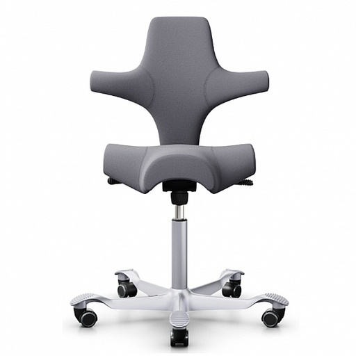 HAG Capisco 8106 Grau Promo EXR081 Blizzard