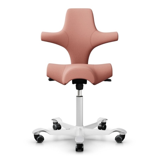 HAG Capisco 8106 Rose Select 