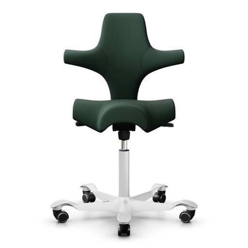 HAG Capisco 8106 Grün Select - Bestseller