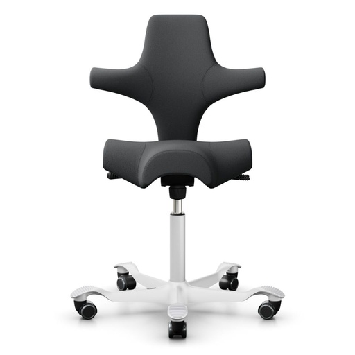 HAG Capisco 8106 Antraciet Select