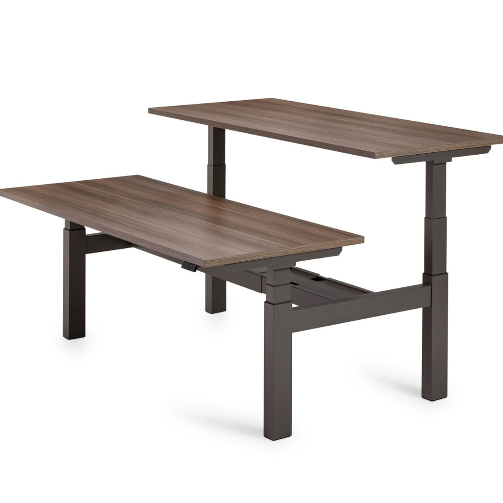 Flex 3+ bench bureau assis-debout pour 2 personnes avec piètement en T