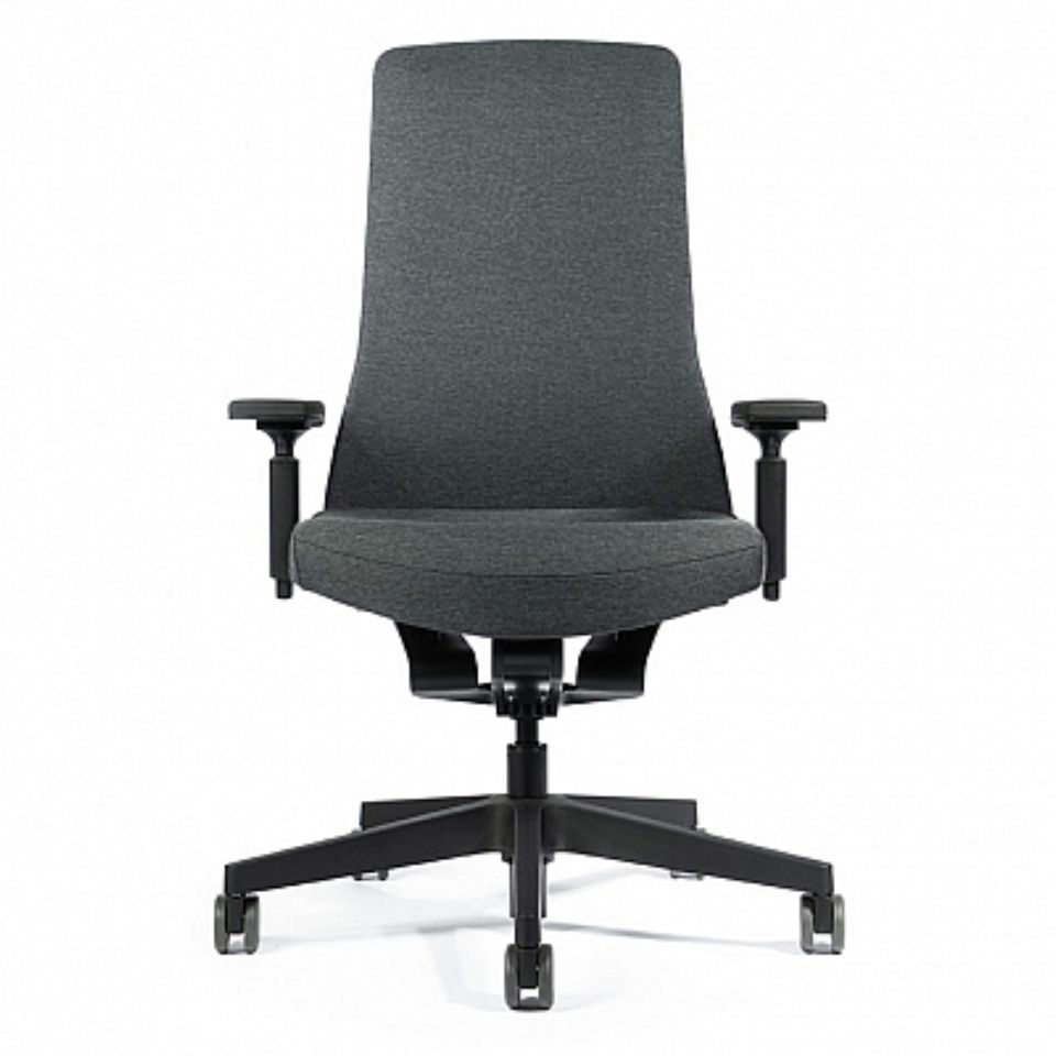 Interstuhl Pure MBRC PU113 Special Charcoal